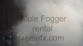 Mole Fogger Image