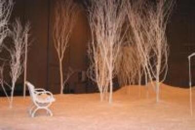 Bio Snow Image