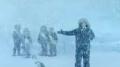 Progressive - Miss Antarctica Image