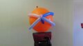 Balloon Static Test 001 Image