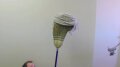 Comb Over Test 002 Image