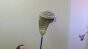 Comb Over Test 002 Image