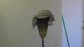 Comb Over Test 003 Image