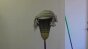 Comb Over Test 003 Image