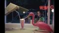 Swiffer - Flamingo Image