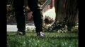 Swiffer - Mariachi Image
