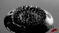 Ferro Test - Star 240 Image