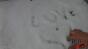 Writing Test - Reel Snow 1 inch Image