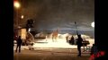 Orange - on set, snow on giraffe Image
