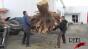 Tree Stump Lift - Tests Image