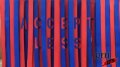 Hyunda Elantra - Test - car wash word-curtain,  close up Image