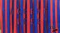 Hyunda Elantra - Test - car wash word-curtain,  close up Image