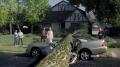 Shelter Mutual Insurance - 'Tree Branch' Image