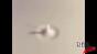 Milk drop test Image