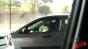 Hyundai Elantra - 'Sheep' Image