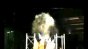 Triston - Multicam 360 Image