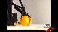 Orange cleaver - 420fps Image