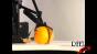 Orange cleaver - 420fps Image