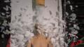 White Feather Dump Test 60fps Image