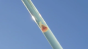 Alien Embryo Test Image