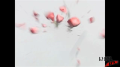 Fresh & Fruity - 'Wrecking Balls' Test Sequence Image