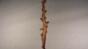 Coffee Upside Down Rig - Insert 1 Close Test- 420fps Image