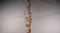 Coffee Upside Down Rig - Insert 2 Close Test- 420fps Image