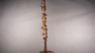 Coffee Upside Down Rig - Insert 2 Wide Test- 420fps Image