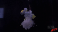 Horizontal Yellow Glass - Under Water - Glitter and Silicone - Explosion - Test Image