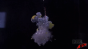 Horizontal Yellow Glass - Under Water - Glitter and Silicone - Explosion - Test Image