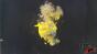Vertical Yellow Glass - Under Water - Glitter and Silicone - Explosion - Test Image