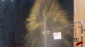 Yellow Glass - Filled With Water - Explosion - Test Image