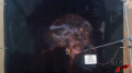 Balloon - Grape Juice - Explosion - Test Image