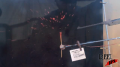 Frozen Raspberry - Pellet Gun - Test Image