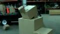 Box Puppet Test Image