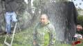White Rain Test Sequence Image