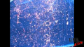 Pink Slime Air Mortar Test 240fps Image