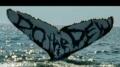 Mt.Dew - Whale Image