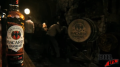 Bacardi - 'The Journey of the Bottle' Image