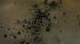 Tar Avalon Test 400fps Image