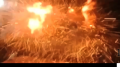 Toyota Logo 400fps Image