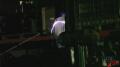 Tesla Car Voltage Test 3 Image