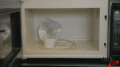 Microwave Test 1 Image