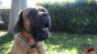 Dog Slobber Test 1 Image