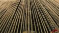 Weave Reverse Test 1 Image
