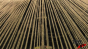 Weave Reverse Test 1 Image
