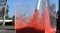 Fluid Test 1 Image