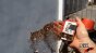 Drill Motor Test Image
