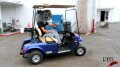 Hippo Golf Cart Test 2 Image