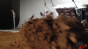 LG_Communications - High Speed Winch Image